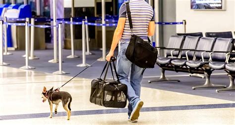 air france travelling with pets.